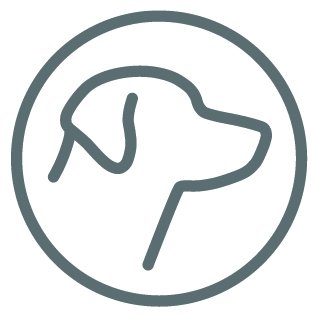 Find and share dog-friendly spots in Ireland. App coming soon!