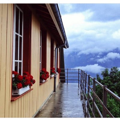 GhadeerAlenazi's profile picture. 