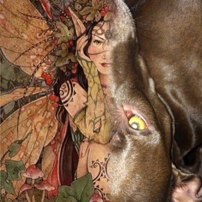 Love Mother Earth .HATE ANIMAL ABUSE/ ABUSERS💯. 🐶🐱🌹Zero Tolerance For ANIMAL ABUSE