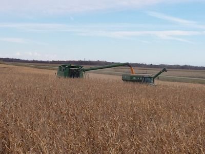 geraldneu1's profile picture. Grain farmer, corn, soys, dry beans, cereals and canola. Southern Manitoba