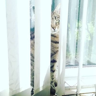 hk_2906's profile picture. 