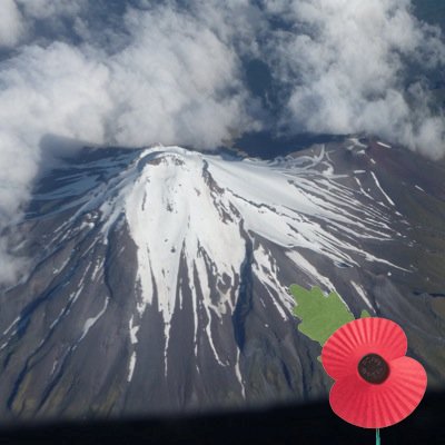 12kiwi's profile picture. 