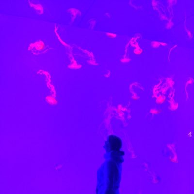 TRisrewired's profile picture. 