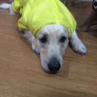 trupspy (@trupspy) 's Twitter Profile