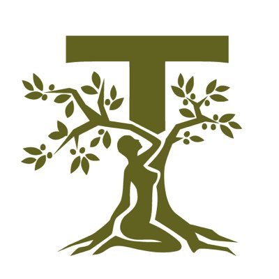 Tellus is a start-up created by the passion of four Italian entrepreneurs for olive trees and olive products that produces 100% Italian extra virgin olive oil