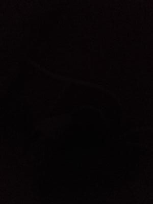 crazygeek15's profile picture. Im a guy woooo!