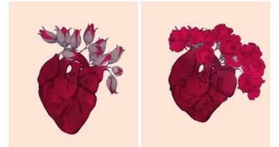 eo_2eo's profile picture. {يّــاتي بهـا الله إنَّ الله لطيـفُ خَبيـر}