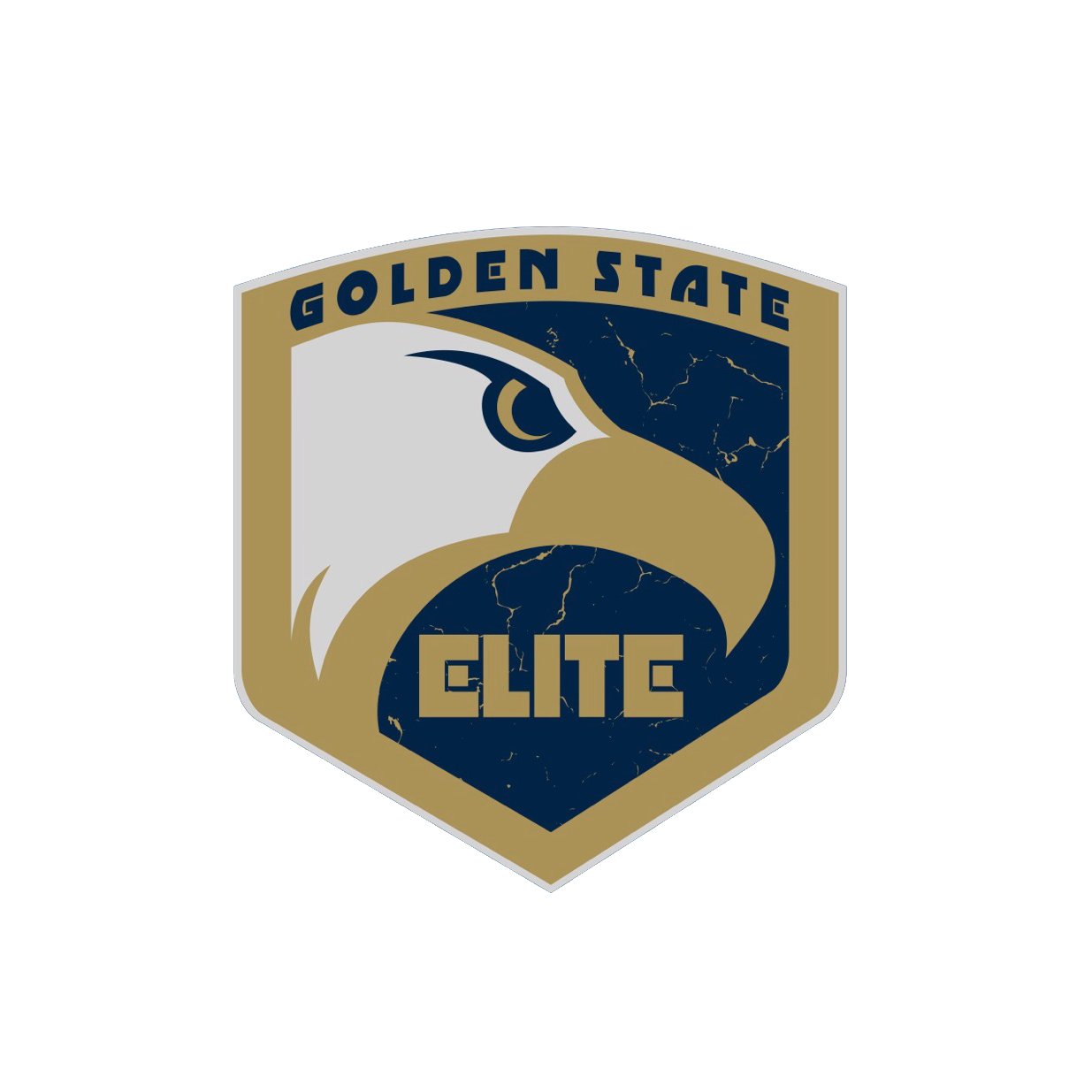 Welcome! Golden State Elite Hockey is the top performing youth tier ice hockey program for Northern California players from 12U to 18U.