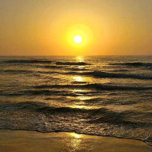 draqo24's profile picture. 