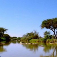 اخبار منطقه الوشم (@fxosg) Twitter profile photo