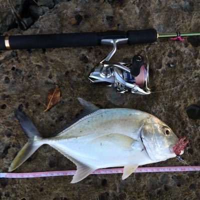 純沖縄人 美東中卒業 沖縄水産高校 3年 寮生 総合学科 海洋生物系列 高校生アングラー 釣りは7〜8歳ぐらいから 主にルアーですがフカセもします。釣り好きな方、自分を知っている方は気軽にフォローしてください！ちなみに水産高校だけど泳ぐのは苦手です。笑