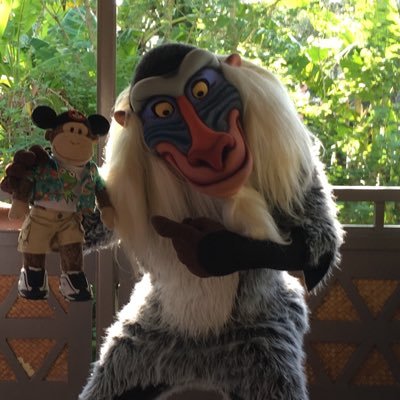 Imfancierthanu's profile picture. Walt Disney World fanatic!! I will have more followers then my humans someday