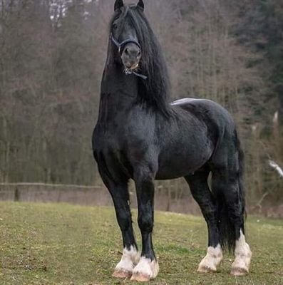 62PyMIWp0TTEGAR's profile picture. Gaming producers & Personalities