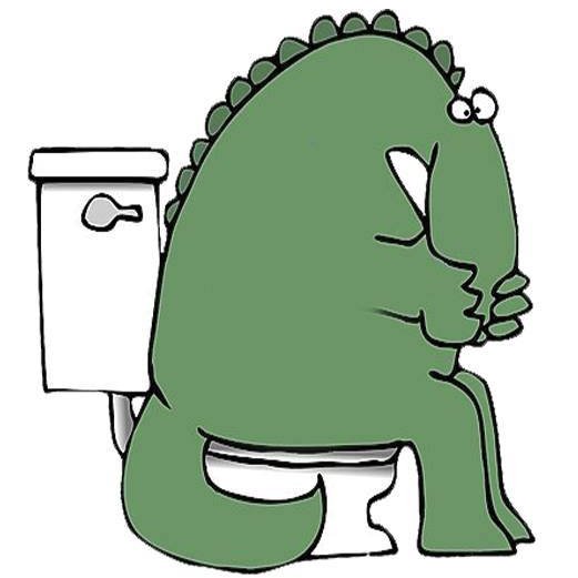 At Dinosaur Plumbing we take great pride in providing our customers with the best services possible at a fair price.