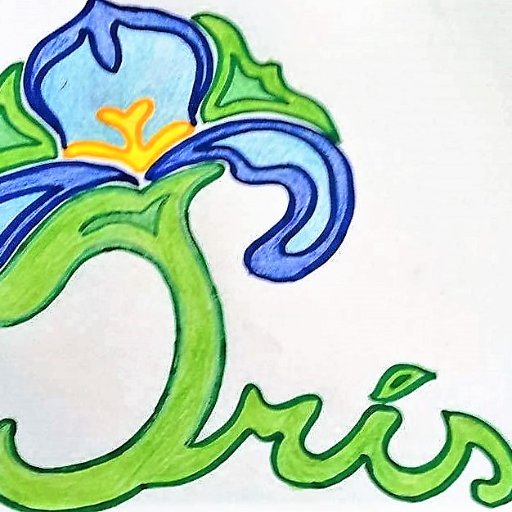 OnlusIris's profile picture. Associazione che opera nel settore assistenza sociale, socio-sanitaria e sanitaria.
Iniziativa attuale Un futuro per Katia   gestione cure mediche