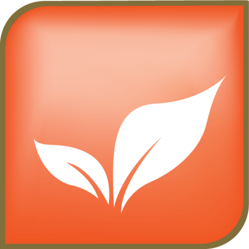 Ask five people what sustainability means. You’ll likely discover their answers are as varied as the ways to support green living.