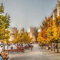 Elena Galve (@elenagalvecalvo) 's Twitter Profile