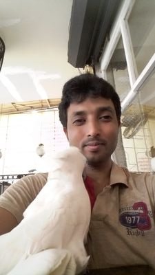 GopalCh11048921's profile picture. 