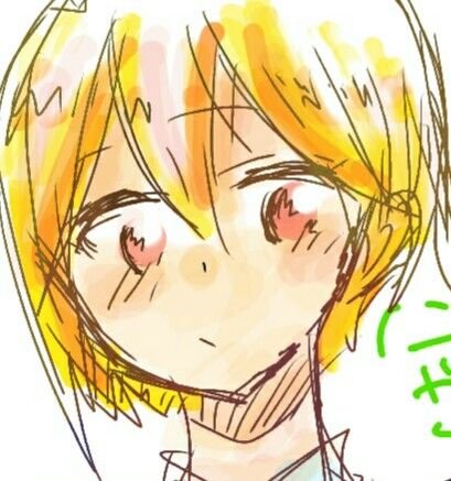 宮乃@固定ツイさんのプロフィール画像