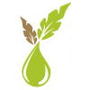 aromatherapies's profile picture. Sur http://t.co/Il4Cz1IdEA, on y parle d’huiles essentielles, d’aromathérapie et on vous propose des centaines de produits de qualité.