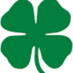 ifuworkwithkids's profile picture. Working to improve the behaviour of children. Training - Support - Workshops