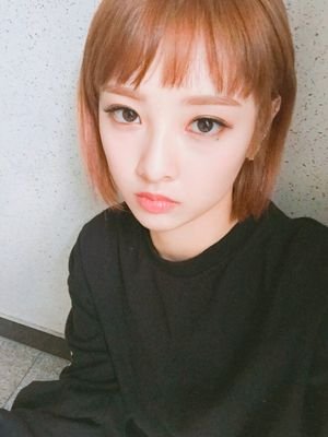 newsunarz's profile picture. RYDER++