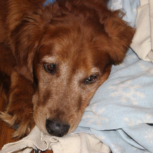 Missy0810Brown's profile picture. First grade teacher