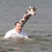 Tim Schmidt (@westplexpub) 's Twitter Profile