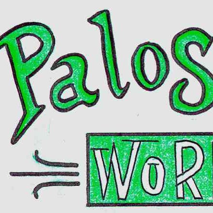 PalosMusic's profile picture. Palos Music Workshop is a professional #musiclesson studio located in  #PalosPark, IL offering one on one instruction for #guitar, #bassguitar  and #drums.