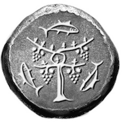 primamateria1's profile picture. vineyards and winemaking