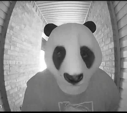 ImJstAPandaBear's profile picture. My hypocrisy goes only so far.