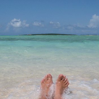 DeniseToye's profile picture. 