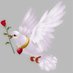 الحاجبي حفيظ (@lmhajibe1tanger) Twitter profile photo الحاجبي حفيظ (@lmhajibe1tanger) Twitter profile photo