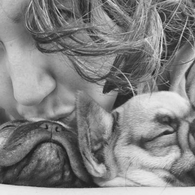 arayamongediana's profile picture. Noticias