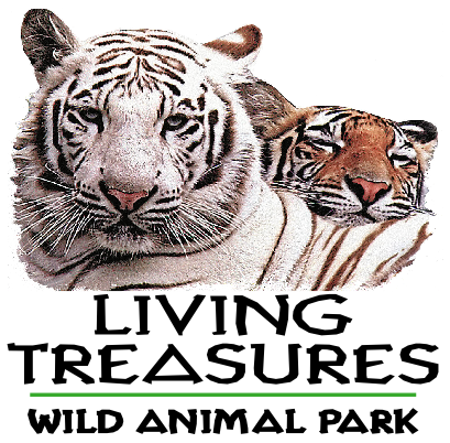 Living Treasures in Donegal is an animal park dedicated to our animals and your experience with them.