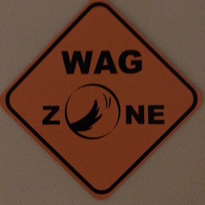 JamesTempleman1's profile picture. 