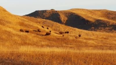 mkrutchen's profile picture. 