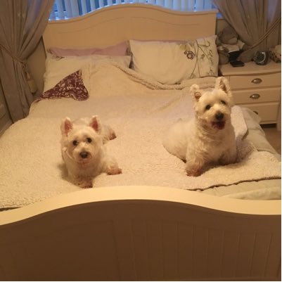 lornamick's profile picture. 