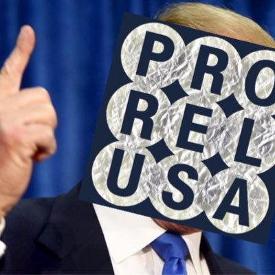 prorel_trump's profile picture. We are going to build a great, great Pro/Rel system. And also deport the MLS Supremacists