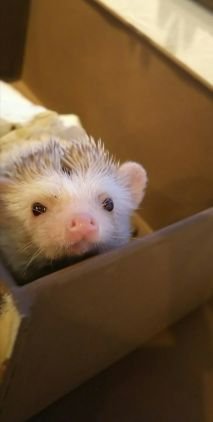 amidoさんのプロフィール画像