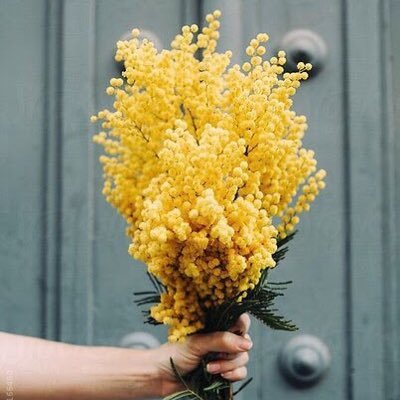 Привет, я Маша ✨ Twitter, Vk, Instagram, Facebook-являются частью моей жизни. Поттероман ✨, ГИ ✨, Maroon5 ✨, Шерлок Холмс ✨