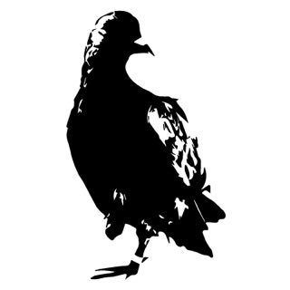 southclawco's profile picture. visual design | production art | brand development