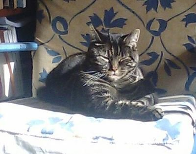 HRStanley2's profile picture. 