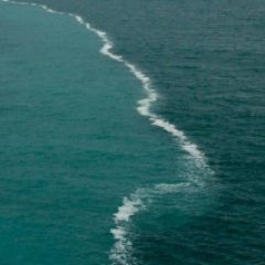 FrancescaE_97's profile picture. Credo in poche cose, ma ci credo fino in fondo.
🎧Brownie🌟