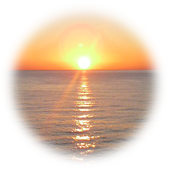 kojityo's profile picture. 