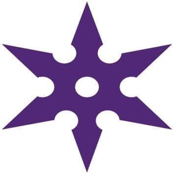 NinjaStorage's profile picture. Future FSD