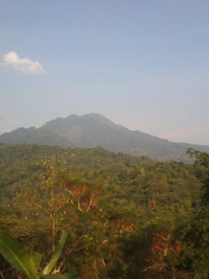 hadiesetro's profile picture. Alam adalah anugrah tuhan