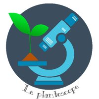 Le Plantoscope 🌱🔬🌸 @plantoscope.bsky.social (@plantoscope) 's Twitter Profile