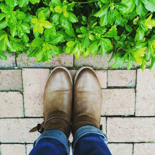 thriftNFK's profile picture. Avid shopper on a budget.
#poshmark: thriftnfk