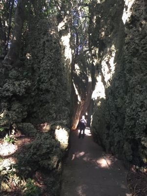 RobertChuah's profile picture. 